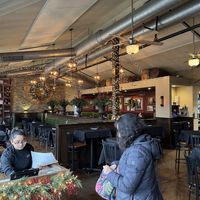   at Fiammé in Naperville