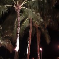 Excellent ambiance at Latitudes in Key West