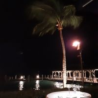  at Latitudes in Key West