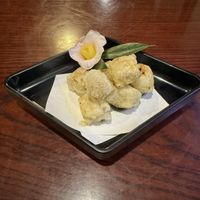 Fried koya tofu  at Cafe 369 in Chiba
