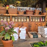 Teas at Pijalnia Ziół in Warsaw