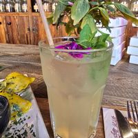 Elderflower Lemonade at Pijalnia Ziół in Warsaw