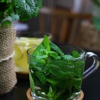 Tee at LUUC Café in Saarbrucken