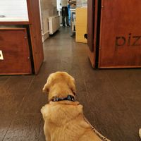 Everything under control! 😀 at La Pizza Berra in Liberec