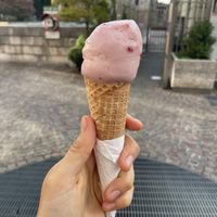 Rose & raspberry  at Accademia del Gelato in Udine