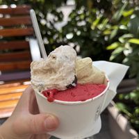 so delicious vegan Ice Cream  at Accademia del Gelato in Udine