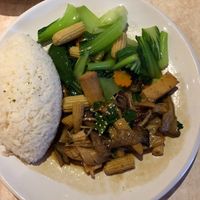 Stir Fry at Tea Master in Fortitude Valley