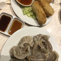 dumplings, and prawn bean curd fried rolls   at Tea Master in Fortitude Valley
