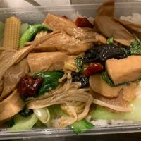 Stir fried Xingbao mushrooms in 3 cup sauce with rice. Really good    at Tea Master in Fortitude Valley