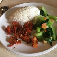 Red pork with rice at Tea Master in Fortitude Valley