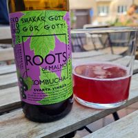 Kombucha at Flax in Malmo