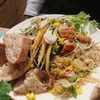 Salad, with vegetables,quinoa, sprouts, tempeh at Flax in Malmo