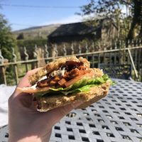 Amazing BLT at The Eating Gorilla in Penrhyndeudraeth