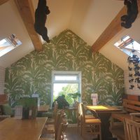 Upstairs at The Eating Gorilla in Penrhyndeudraeth