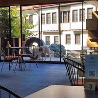 Giant dog outside at OMM INN in Eskisehir