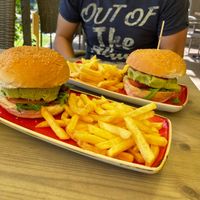 Burger with fries at Camp Bela Krajina in Gradac