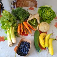  at Bioboerderij 't Ambrozijn in Bruges