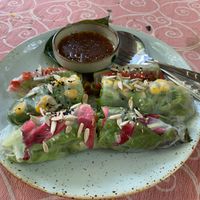 Summer rolls at Samata in Chiang Mai