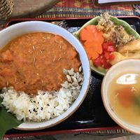 Curry bowl with carrot, bell pepper, fried tofu and fried mushroom - DIY assembly at Samata in Chiang Mai