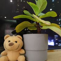  at Minf Houze Vegan Cafe in Kuala Lumpur