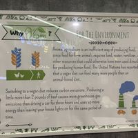   at Minf Houze Vegan Cafe in Kuala Lumpur