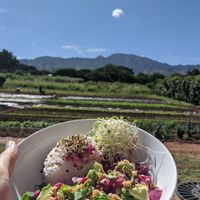 Beet poke bow & view from the venue at Farm To Barn in Haleiwa