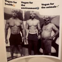  at Funky Pies in Bondi Beach