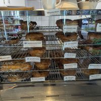 Pie display at Funky Pies in Bondi Beach