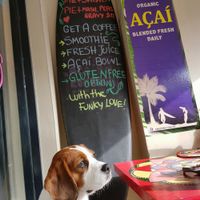 Be kind to every kind at Funky Pies in Bondi Beach