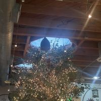   at Real Food Daily in West Hollywood