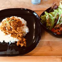 Soy Keema Curry, very spicy and delicious at Orange County Cafe in Tondabayashi
