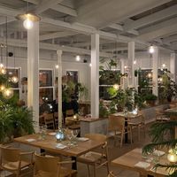 Dining rom  at Nimb Gemyse in Copenhagen