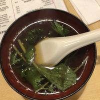Starter veggie broth at The Jitsu in Dunedin