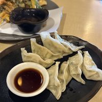   at The Jitsu in Dunedin