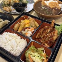   at The Jitsu in Dunedin