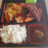 Spicy katsu bento box at The Jitsu in Dunedin