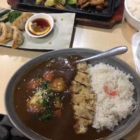 Katsu vegan meat curry and vegan dumplings  at The Jitsu in Dunedin