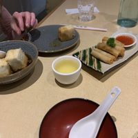 Kariyage Tofu and Vegan spring rolls at The Jitsu in Dunedin
