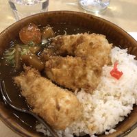 Vegan tofu curry  at The Jitsu in Dunedin