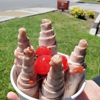 Vanilla ice cream rolled with cherries and oreos at Curl de la Crème in Pigeon Forge