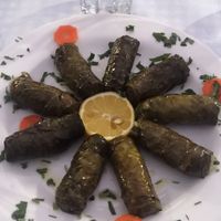 Les japraks (feuilles de vignes farcies) at Antigoni in Berat
