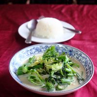 Green curry   at Tamarind Tree Restaurant Mekong in Luang Prabang