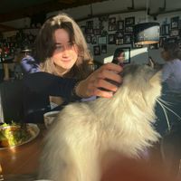 at The Coffee Cat in Almere