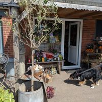 Shop entrance at The Sondes Tea House & General Stores in Faversham