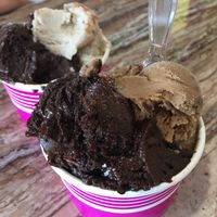 A few of the vegan selections  at Paradice Cream in Mountain Home