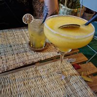  at Roots Experience in Lisbon