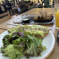 Avocado on toastt  at Blue Fig in Amman