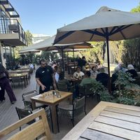   at Blue Fig in Amman