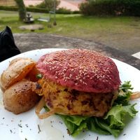 Vegan burger at Morphos in Monteverde