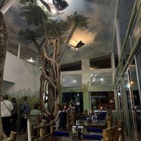 Inside! at Morphos in Monteverde